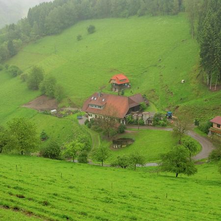 Cosy Farmhouse Apartment At The Edge Of The Forest 木楞巴赫 外观 照片