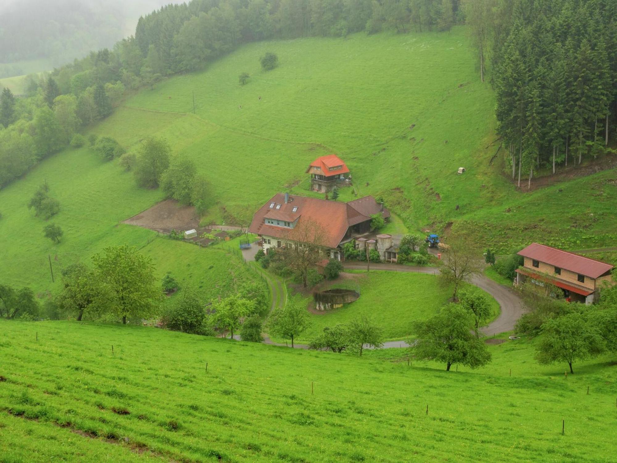 Cosy Farmhouse Apartment At The Edge Of The Forest 木楞巴赫 外观 照片