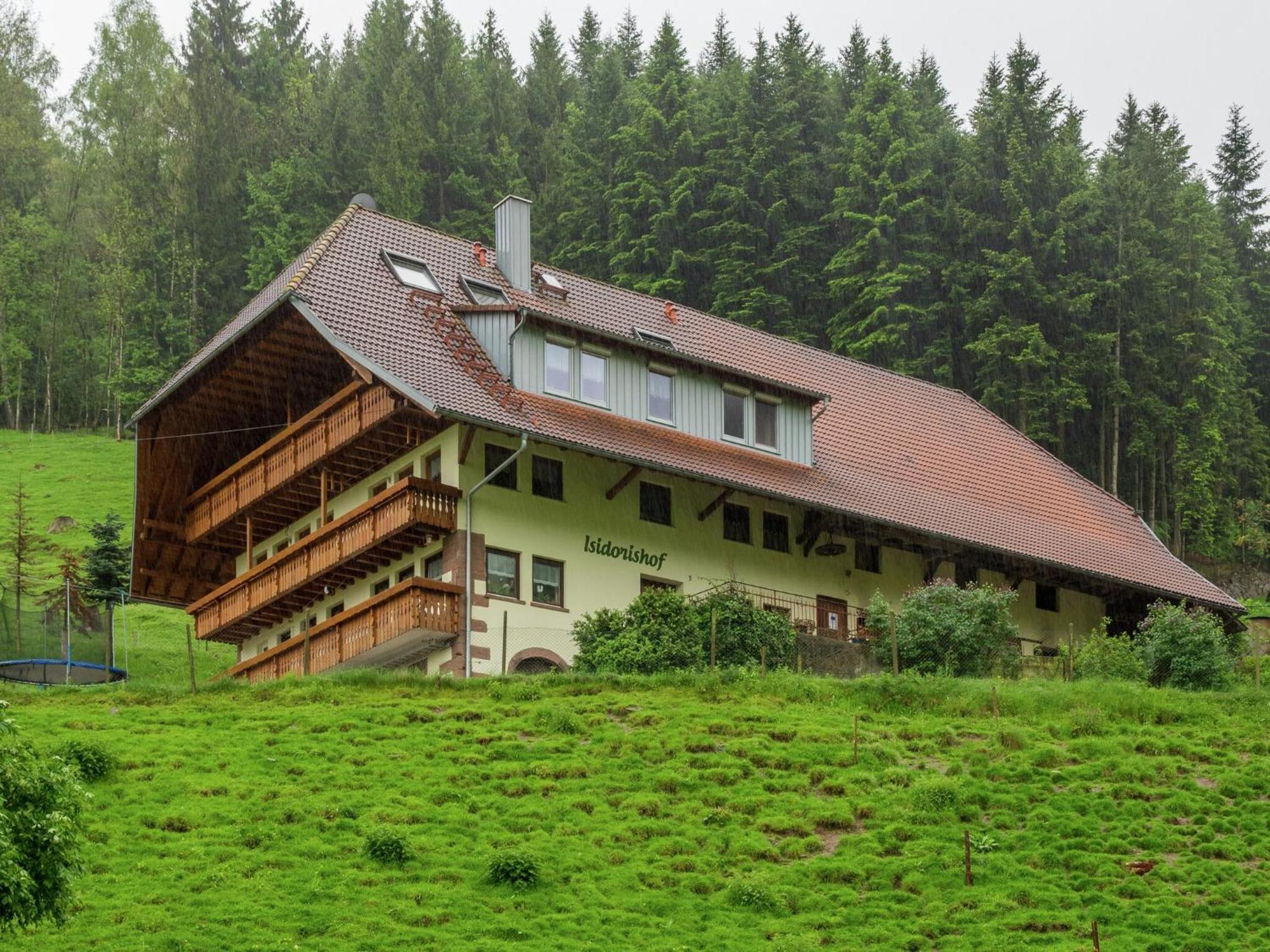 Cosy Farmhouse Apartment At The Edge Of The Forest 木楞巴赫 外观 照片