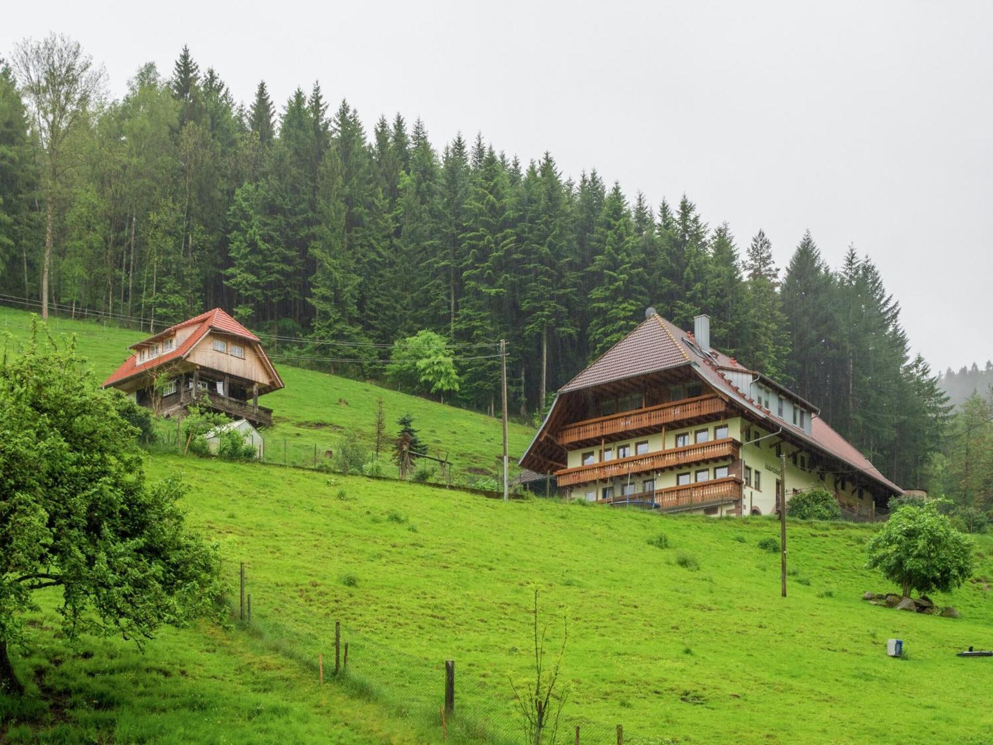 Cosy Farmhouse Apartment At The Edge Of The Forest 木楞巴赫 外观 照片